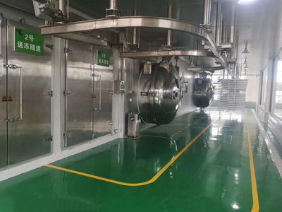 真空凍干機(jī)廠(chǎng)家講水冷凍干機(jī)的種類(lèi)現(xiàn)狀 真空凍干機(jī)廠(chǎng)家講水冷凍干機(jī)的種類(lèi)現(xiàn)狀